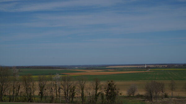 DSC00754.JPG